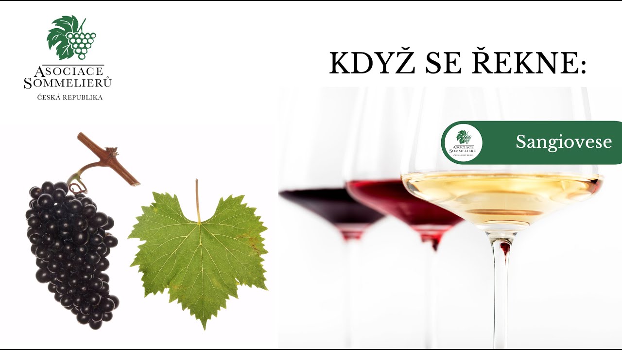 Asociace sommelierů ČR uvádí: Když se řekne Sangiovese