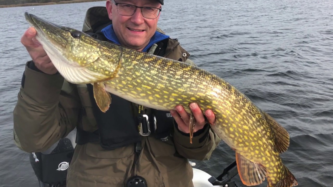 Gäddfiske i Torhamn Blekinge 2019
