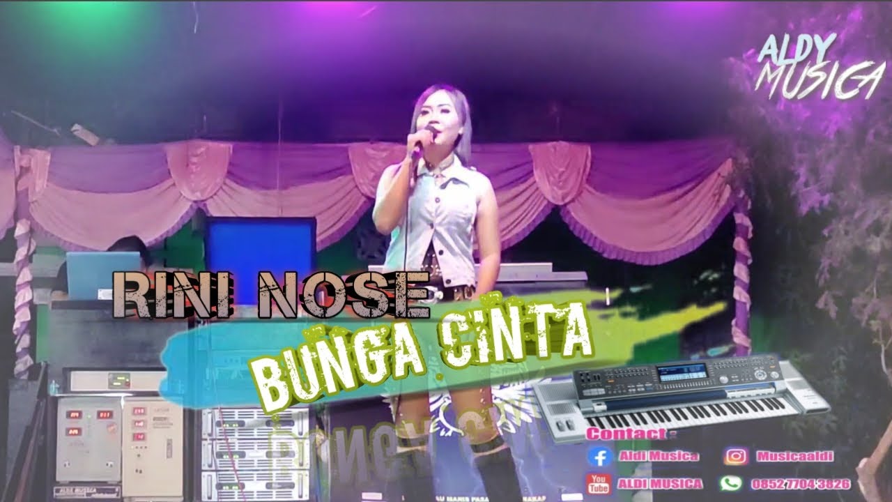 RINI NOSE - BUNGA BUNGA CINTA || ALDI MUSICA