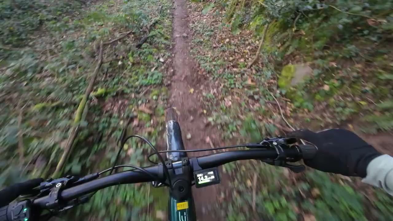 Straight run