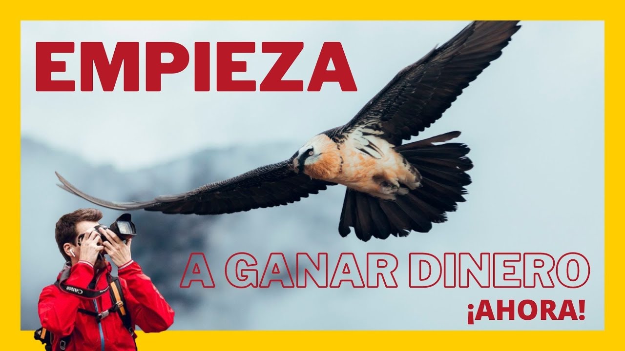 💸FOTOGRAFÍA DE AVES TÉCNICAS para monetizar en 2022🤑