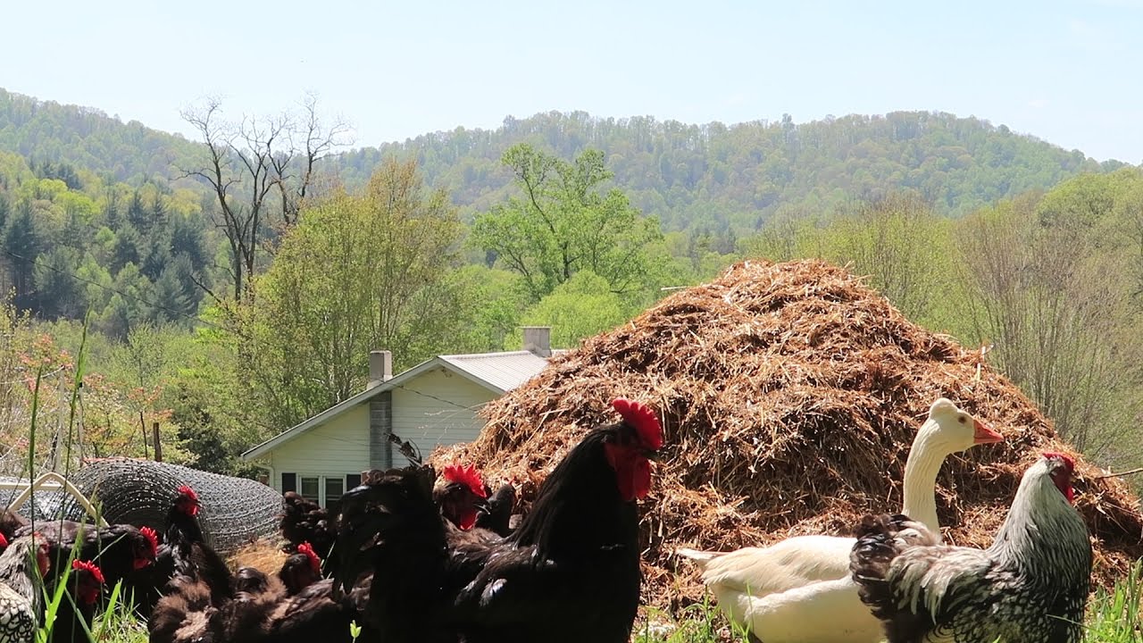 What Is Deep Bedding and Why We Use This Method!