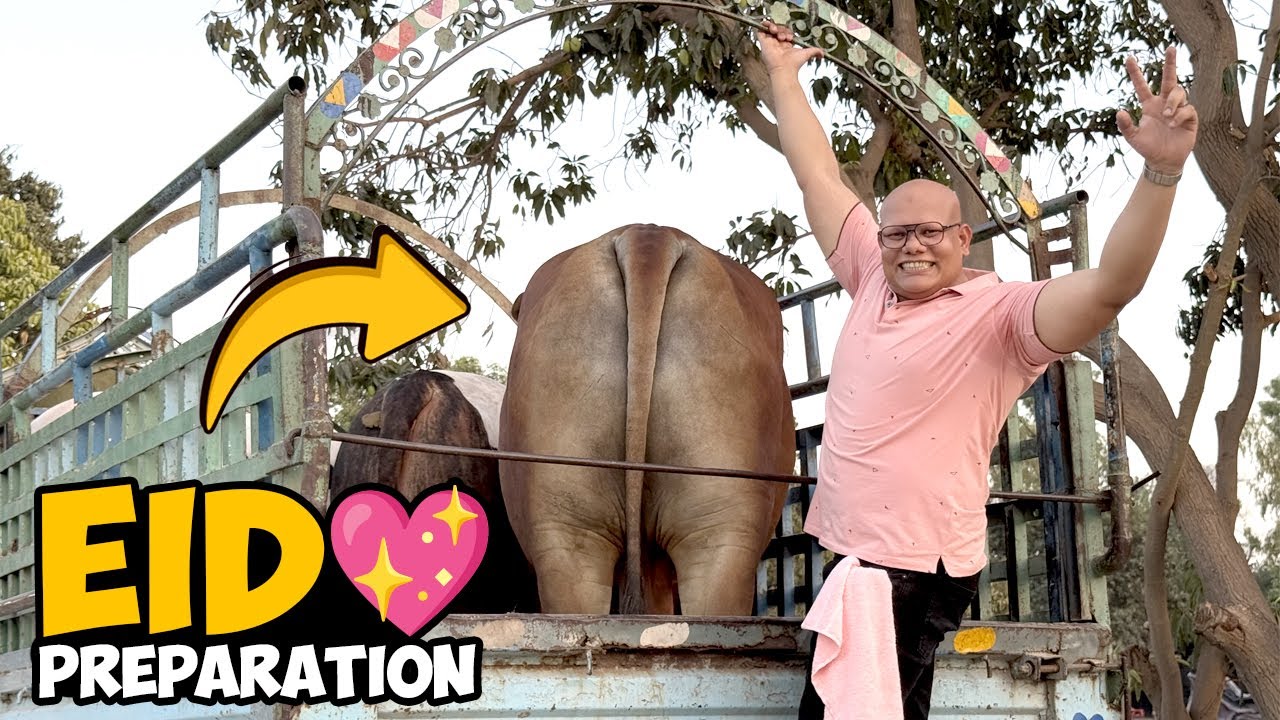 Janwar Load Karna Mushkil Ho Gaya 😰 | Eid Ki Tayyariyan Mukammal 🐂 🎉 | BT Farm Stories