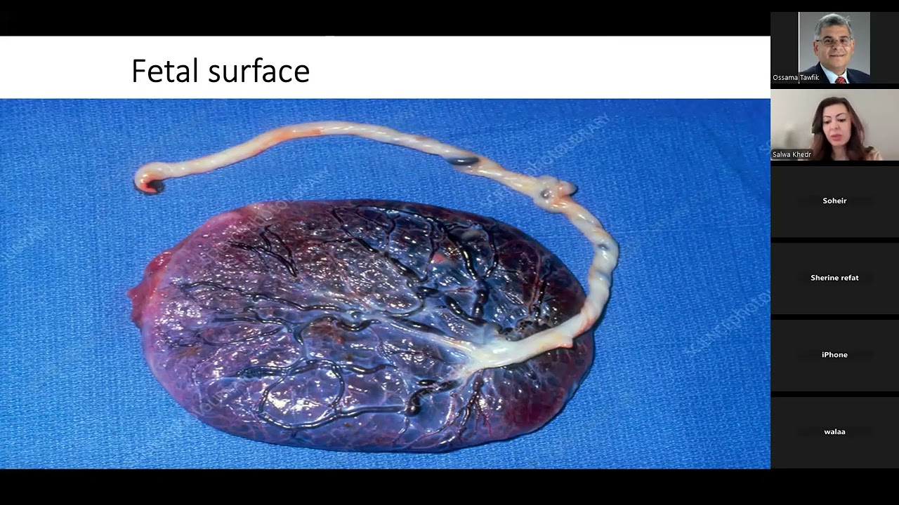 Placental Pathology: Interpretation and Structured Reporting in Contemporary Practice