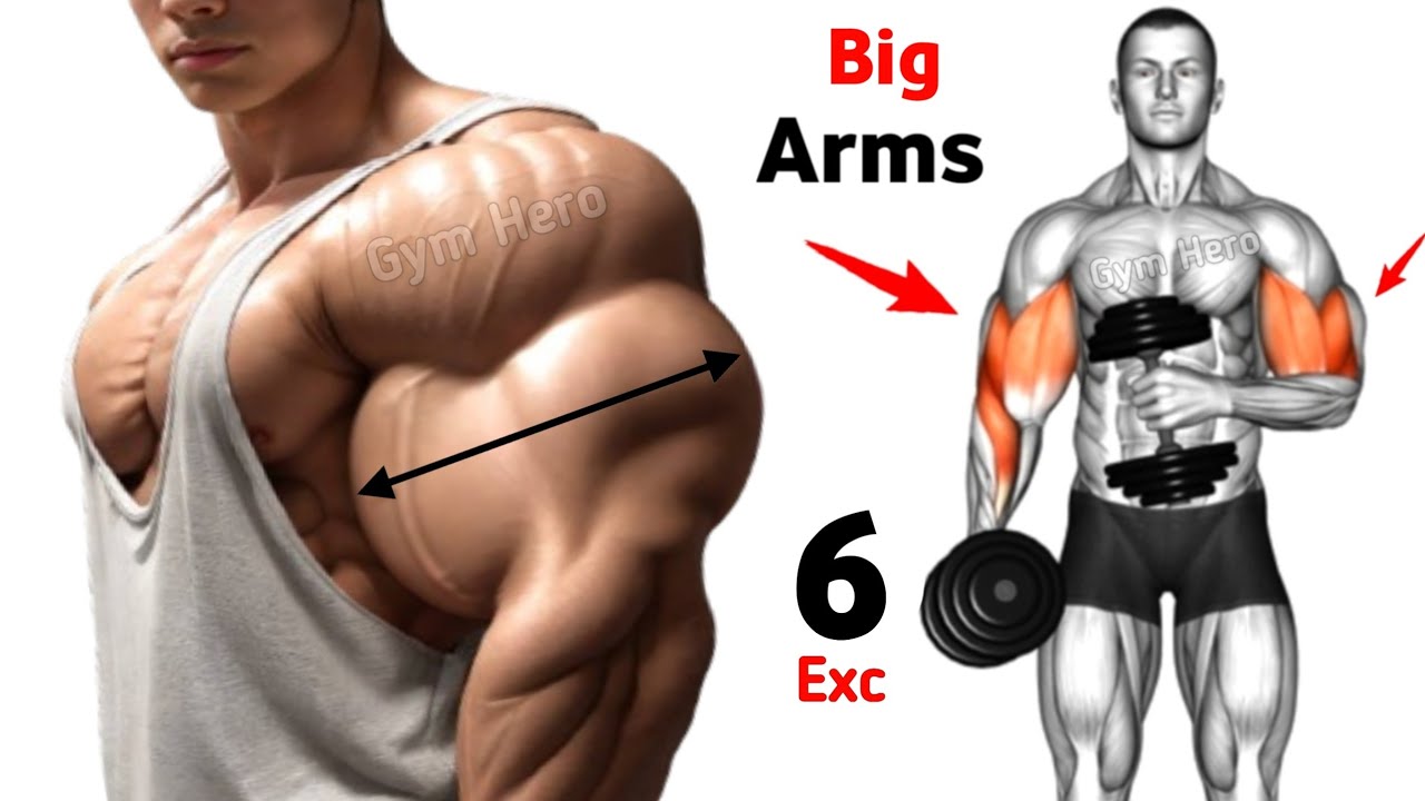 6 Heavy Arm Exercises for Big Biceps & Triceps