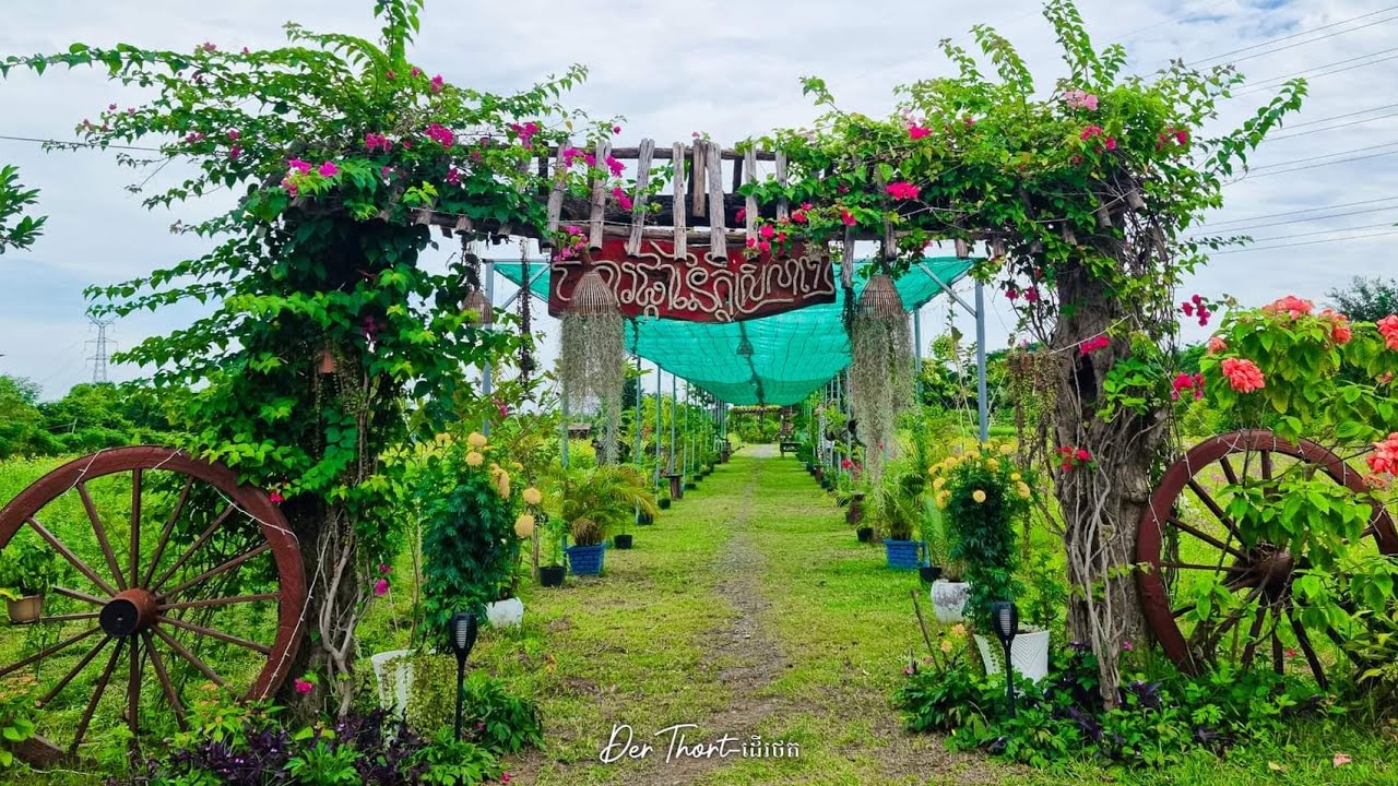 ចំការផ្កានៃក្តីស្រឡាញ់ | កន្លែងថតរូប | កន្លែងកម្សាន្ត | tour 2022 battambang