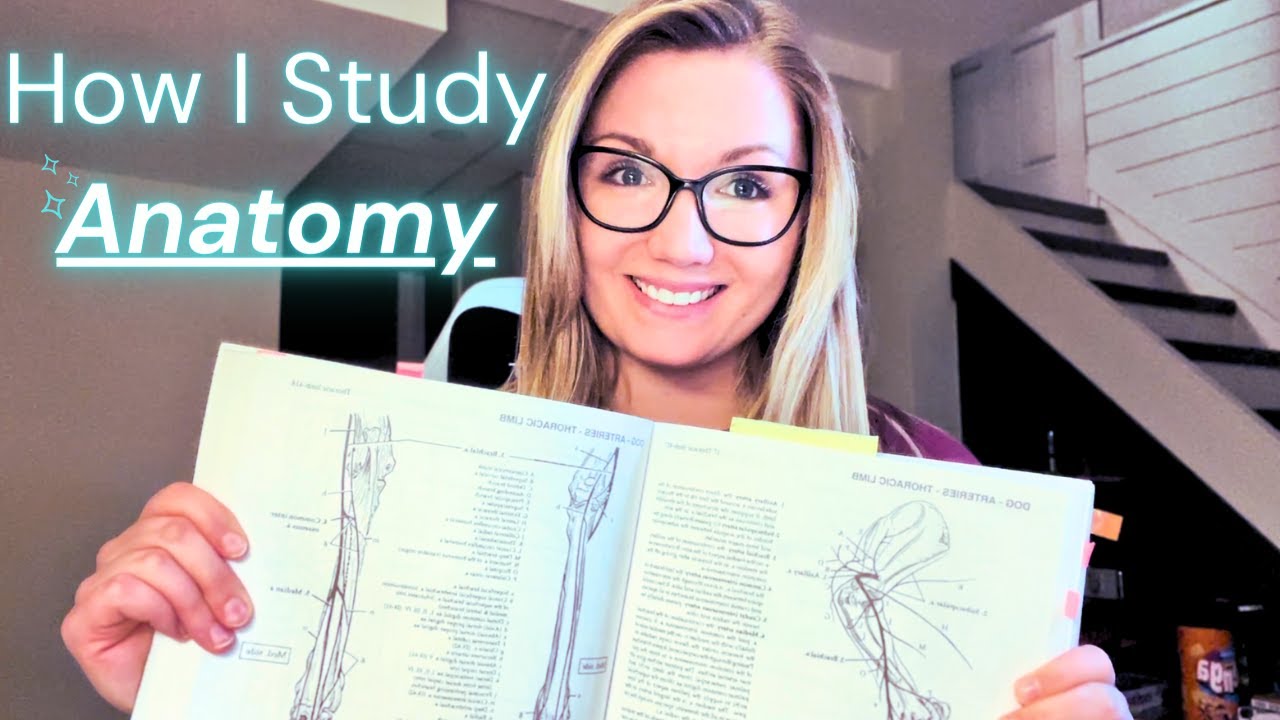 How to study ANATOMY in VET SCHOOL| How I study, lectures vs. labs, my tips & advice!