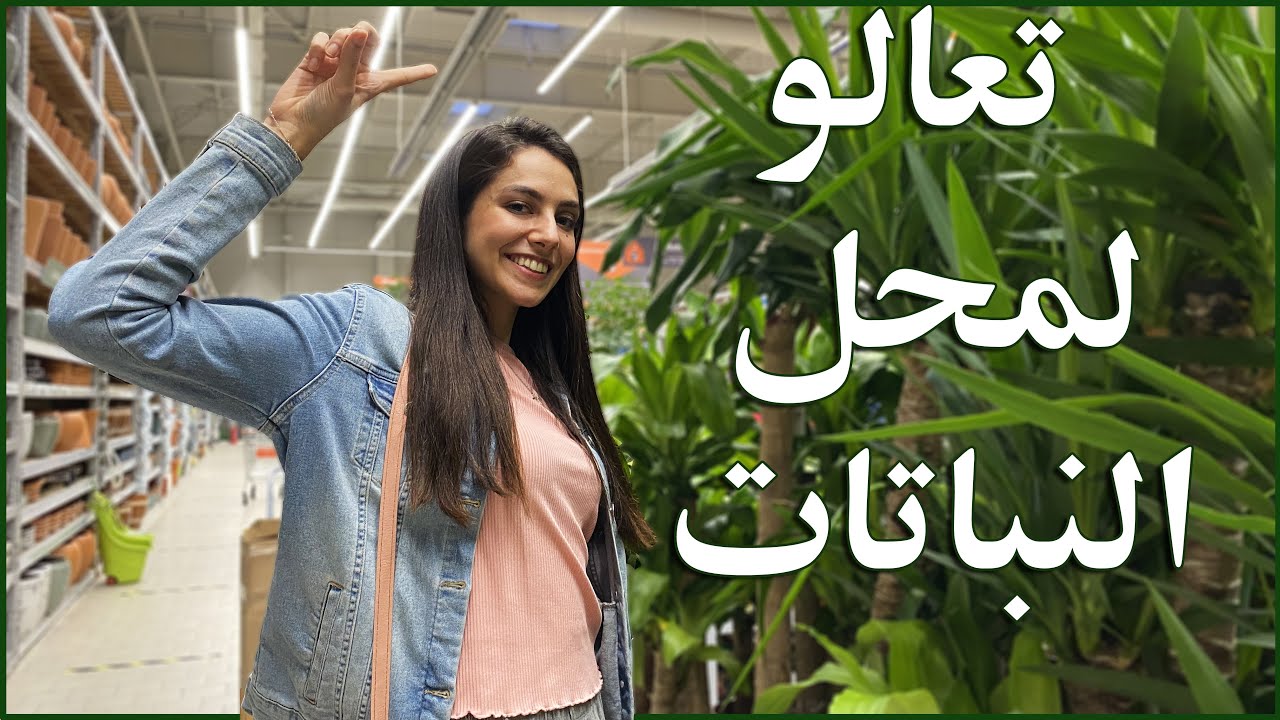 تعالو نروح سوا محل النباتات: أمور لازم نعرفها وقت نشتري نبتة جديدة+محل فيه كل ما يخص النباتات بتركيا