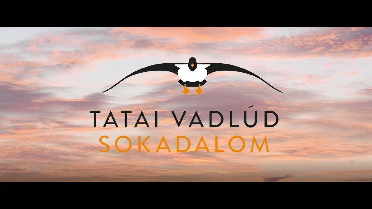 XXI. Tatai Vadlúd Sokadalom rendezvényfilm