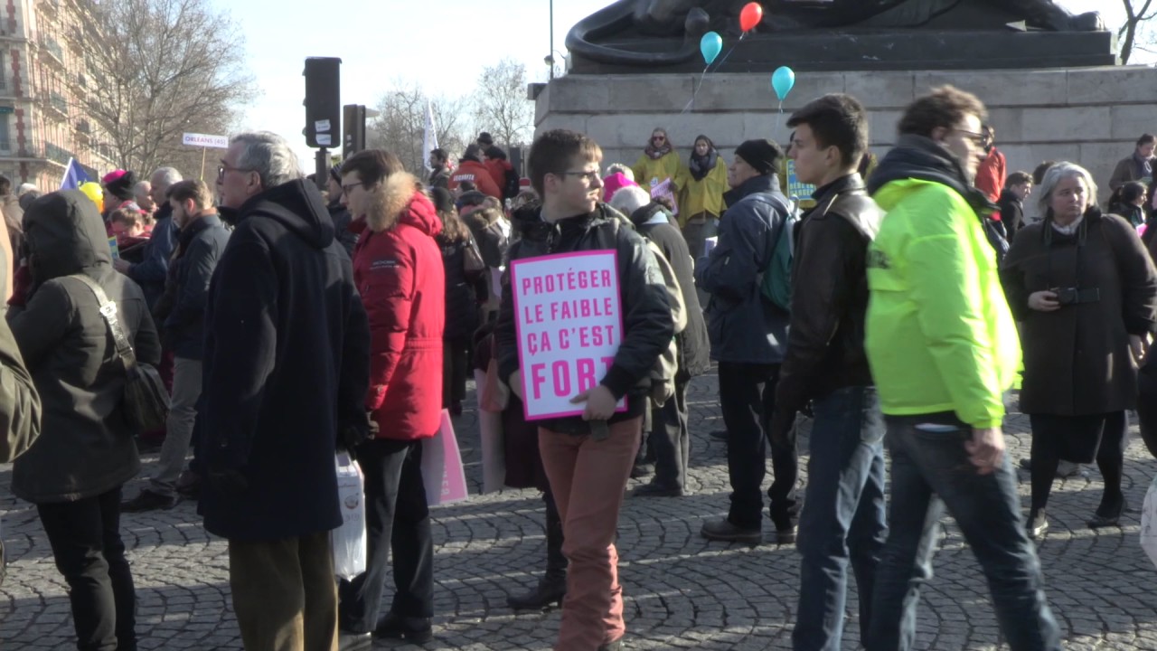 Manifestation anti IVG à Paris (22 janvier 2017, Paris, France)