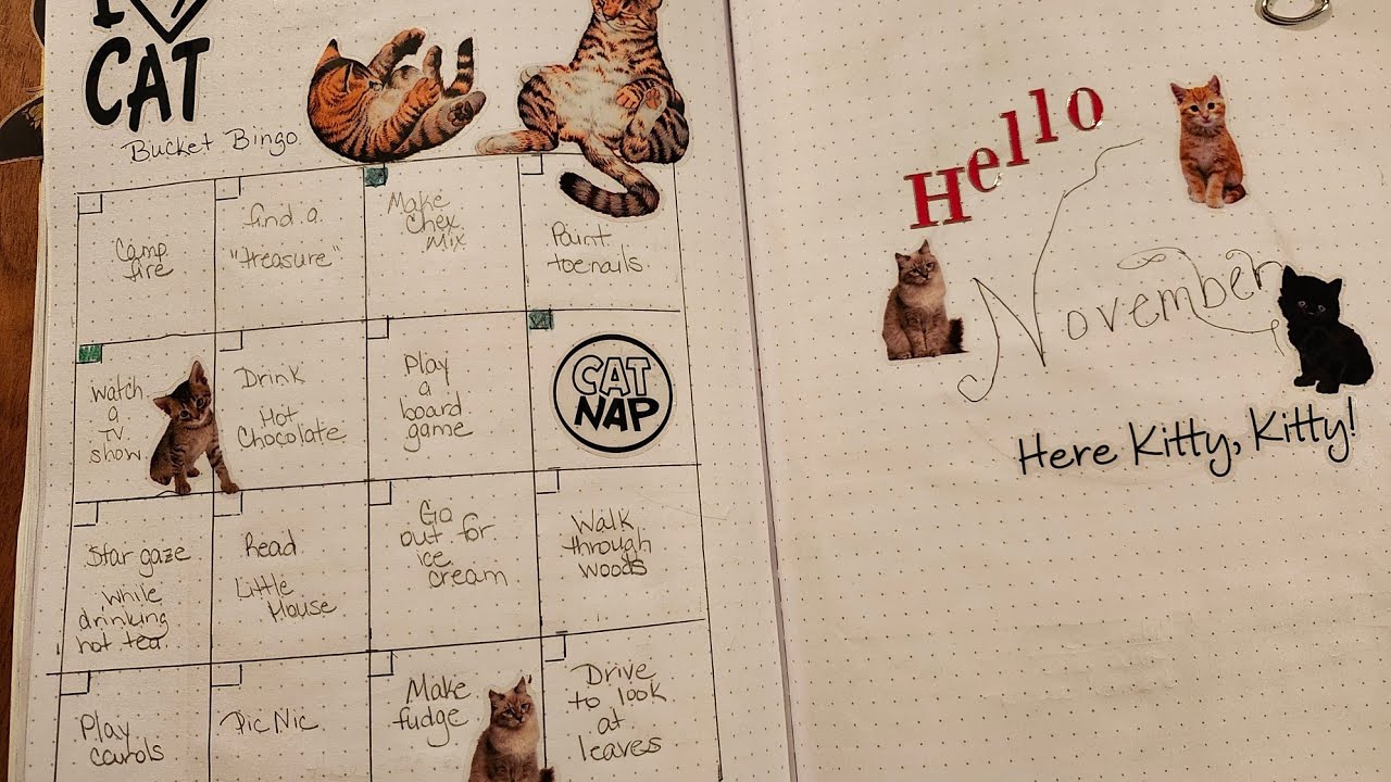A self care Bingo card