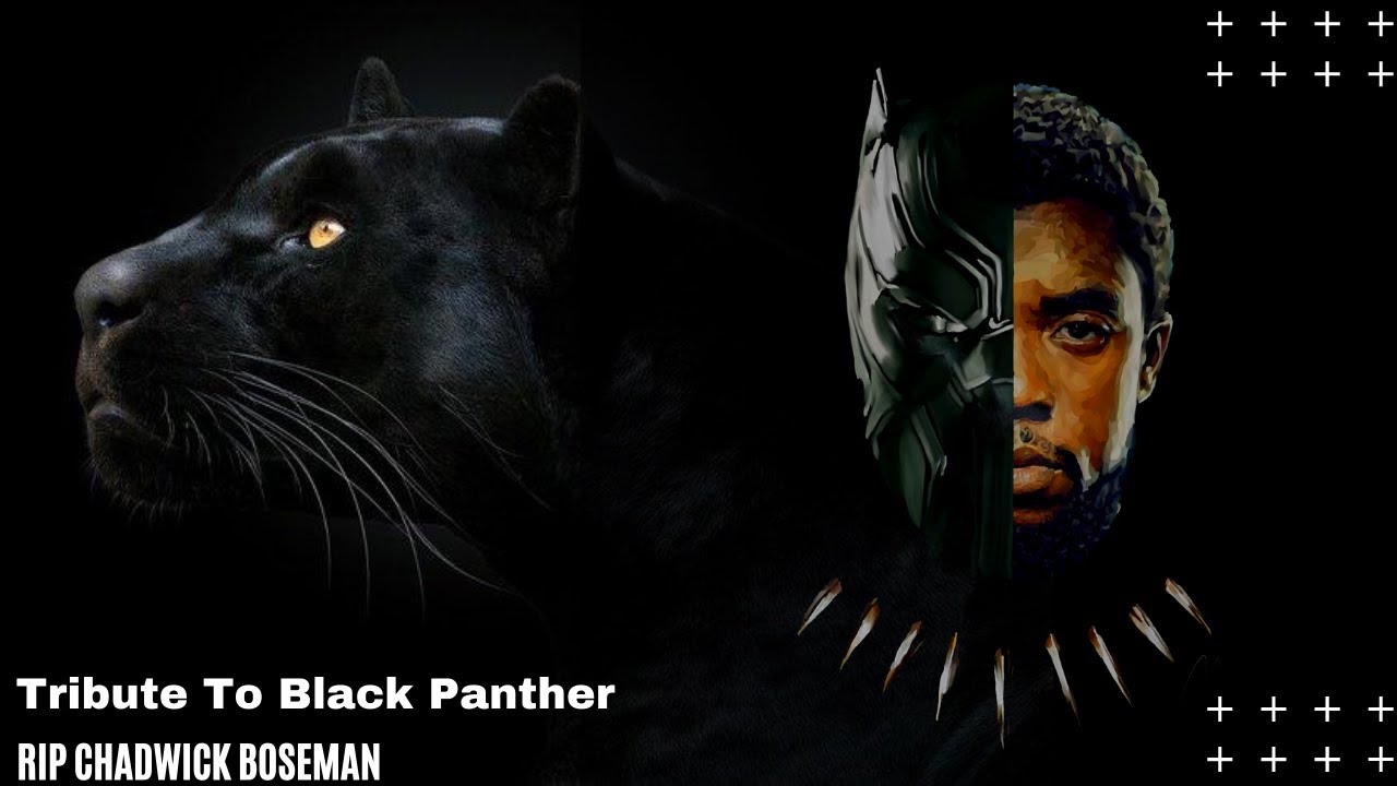 Actor CHADWICK BOSEMAN -RIP  ||Tributes || Black Panther In Marvel Cinematic Universe