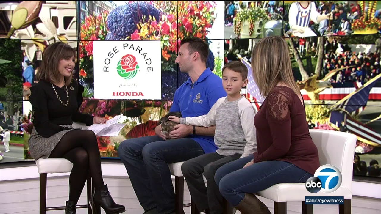 Hero Cat to be honored on Rose Parade float | ABC7