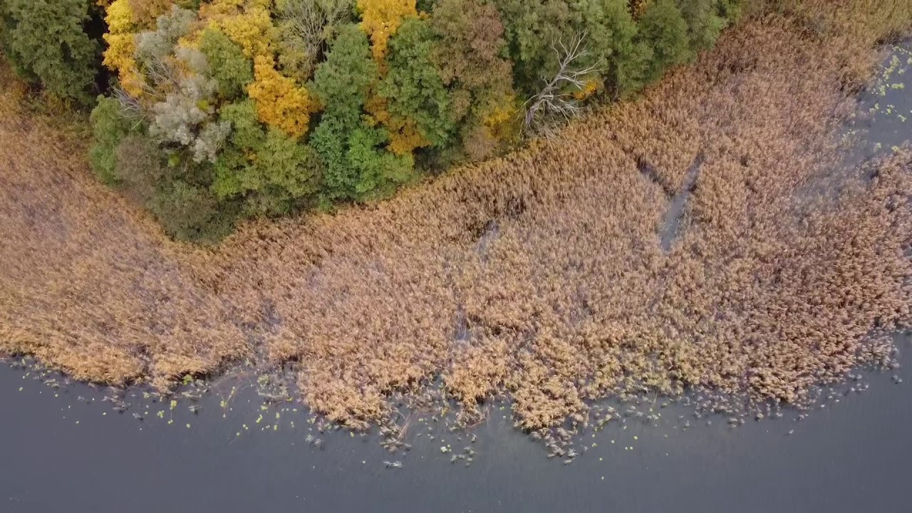 Mazury - Ublik 2020