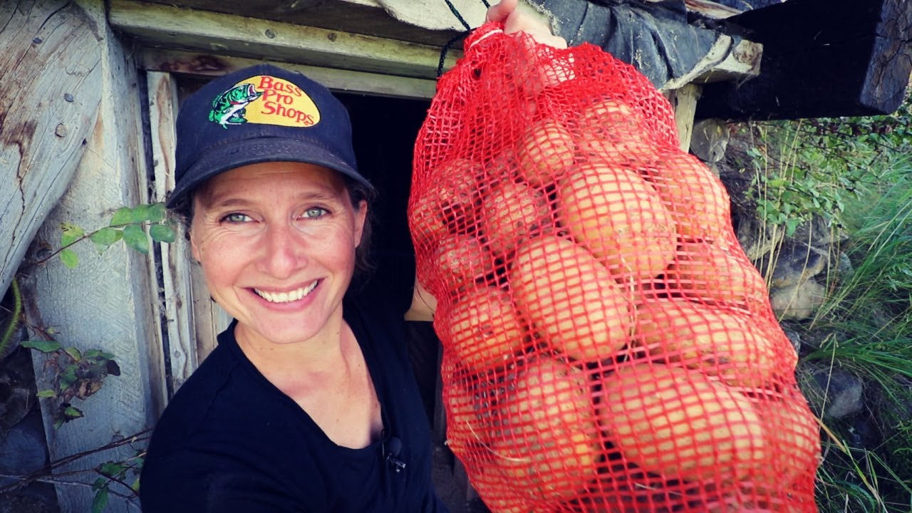 Giant Potato Harvest | Getting Ready for Winter