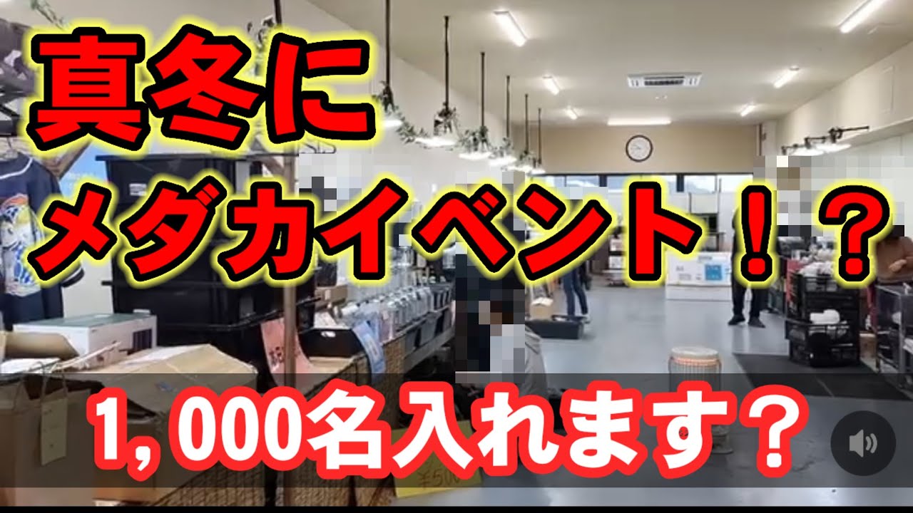 真冬にメダカイベントだと！？【たまやめだか三周年記念祭】検証してみる。安らぎAQUAちゃんねる