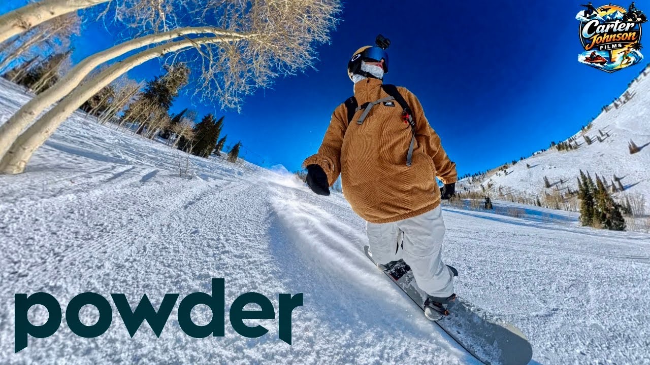 Bluebird Groomers Today!
