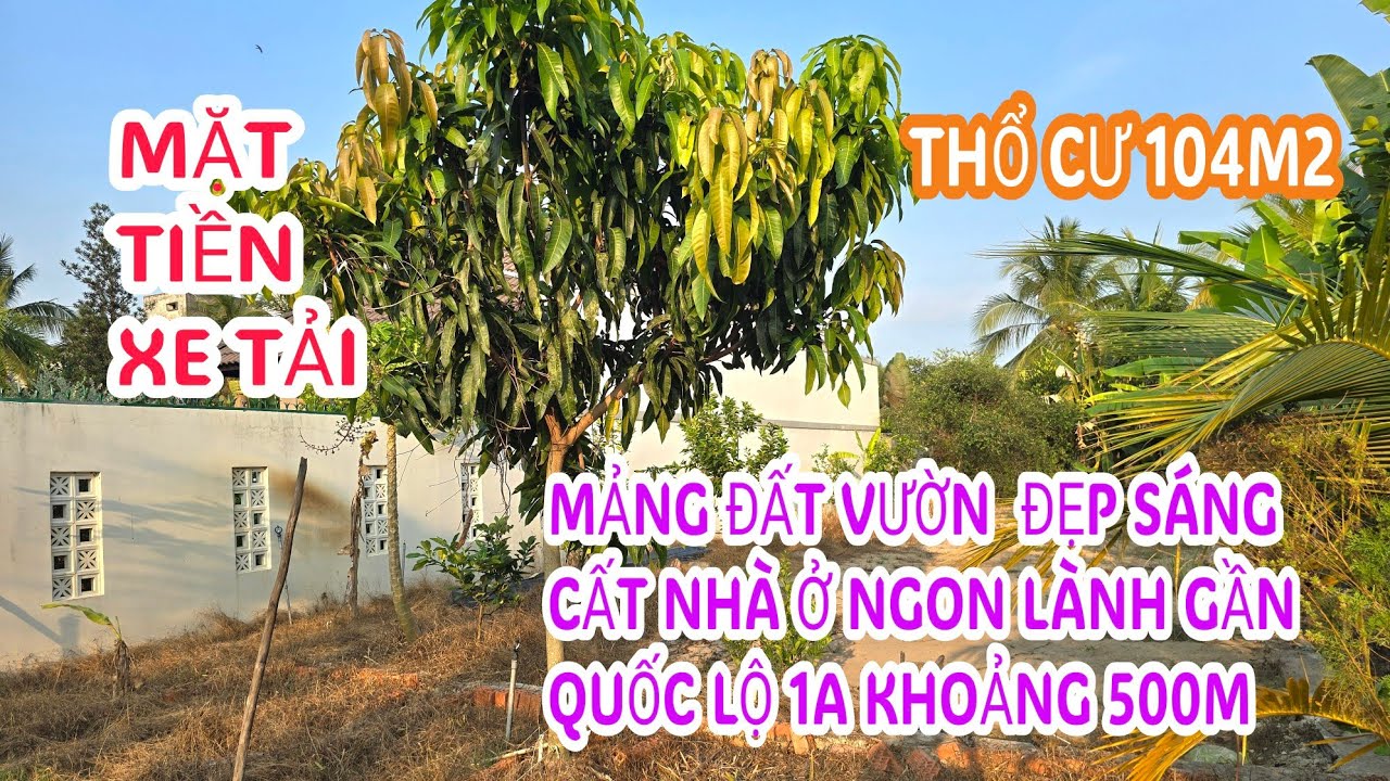 MS:25353 Khu vườn trái cây thoáng mát mẻ - Thổ cư 104m2 xe 16 chổ tới chỗ gần quốc lộ 1A khoảng 500m