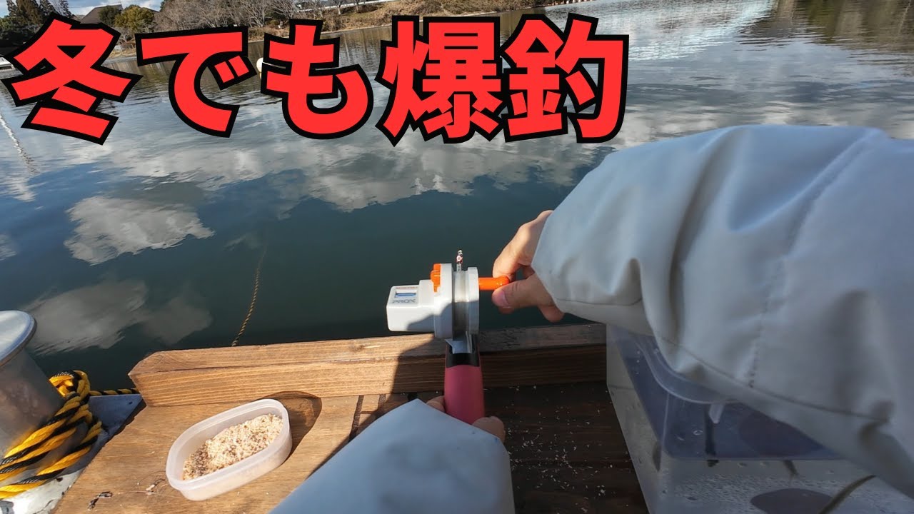 真冬でも釣れまくる釣りが凄い‼️【ワカサギ釣り】