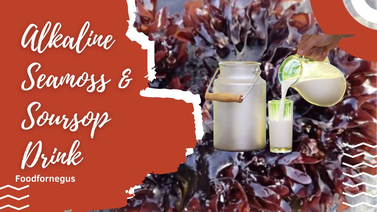 Alkaline Vegan Soursop and Seamoss Drink