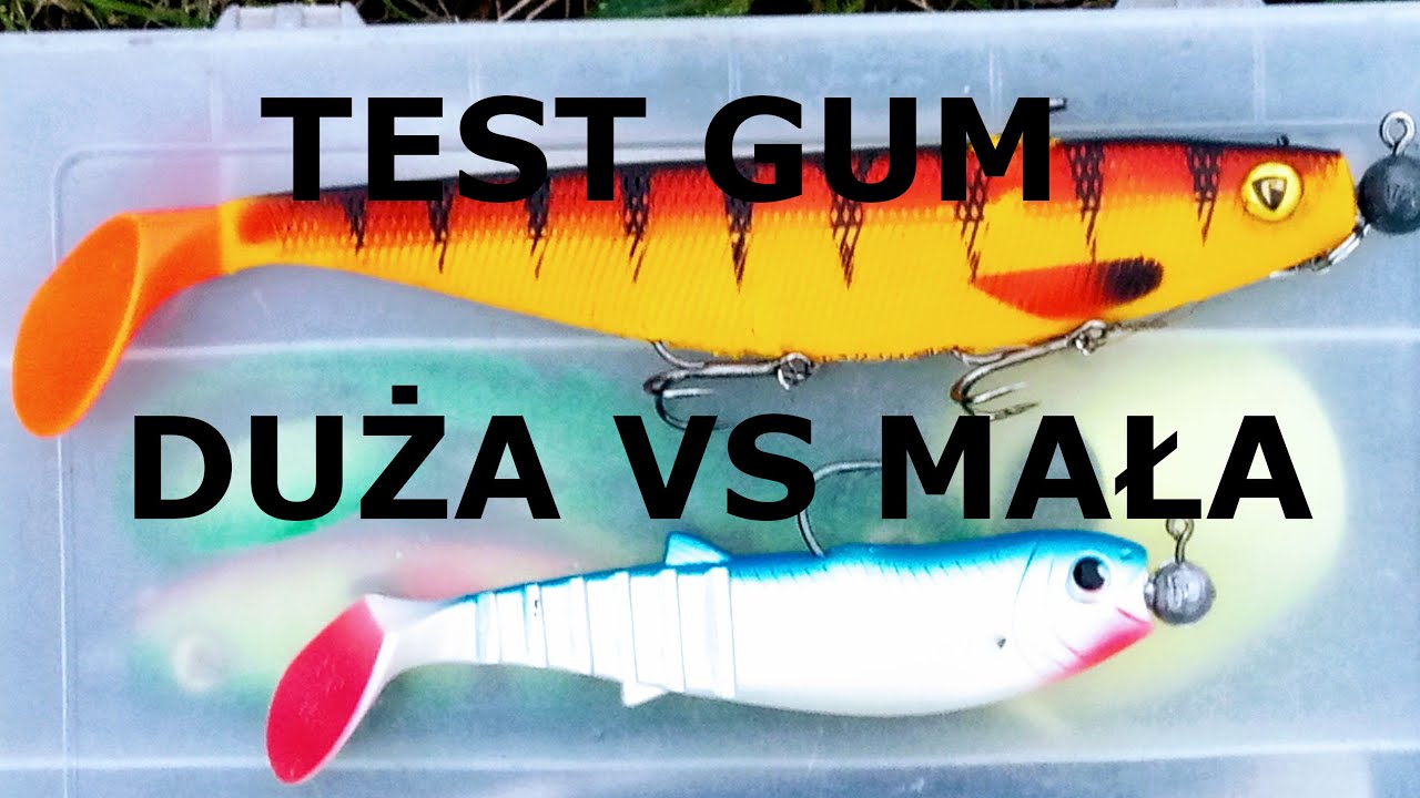 DUŻA GUMA VS MAŁA GUMA TEST. Jesienne Szczupaki