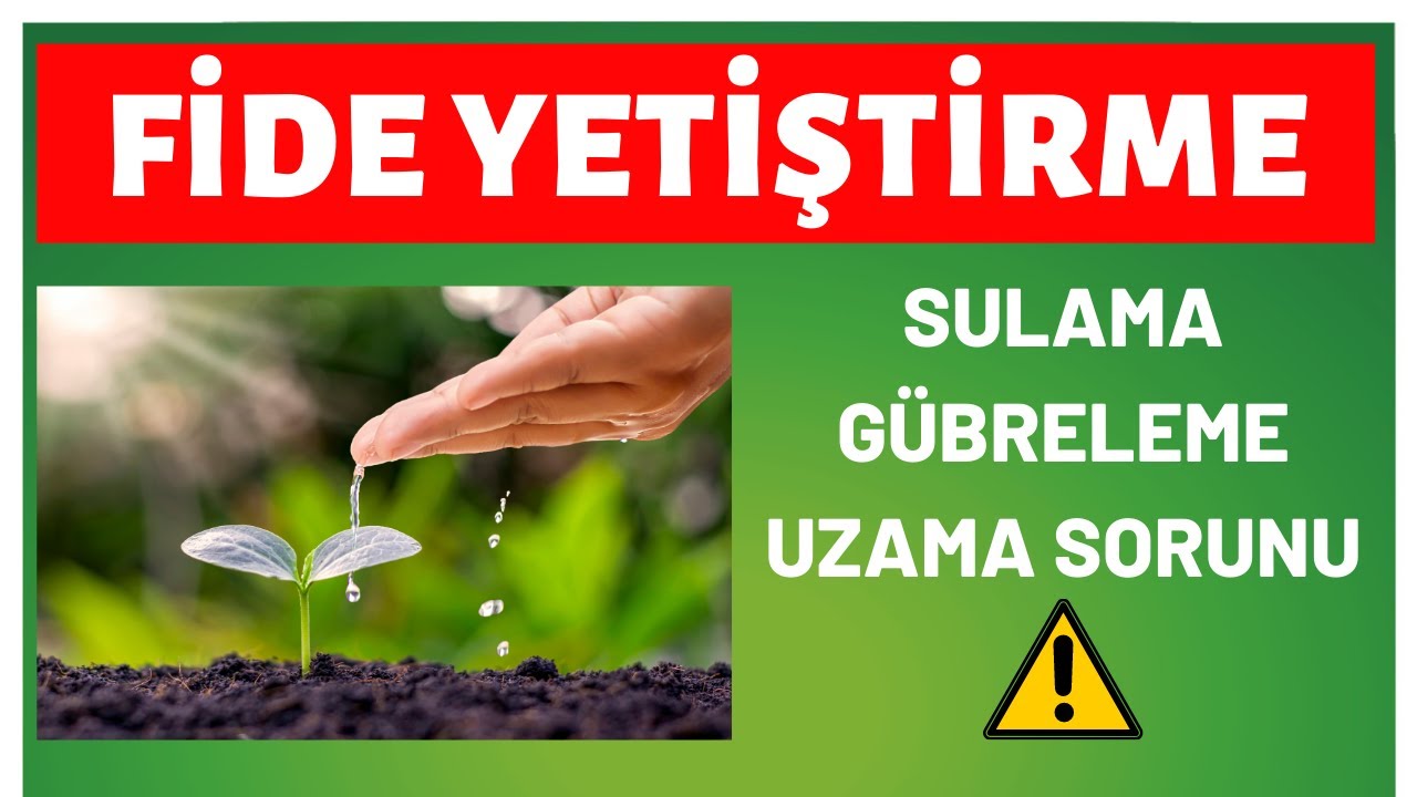 BU UYARILARA KULAK VERİN FİDE YETİŞTİRME