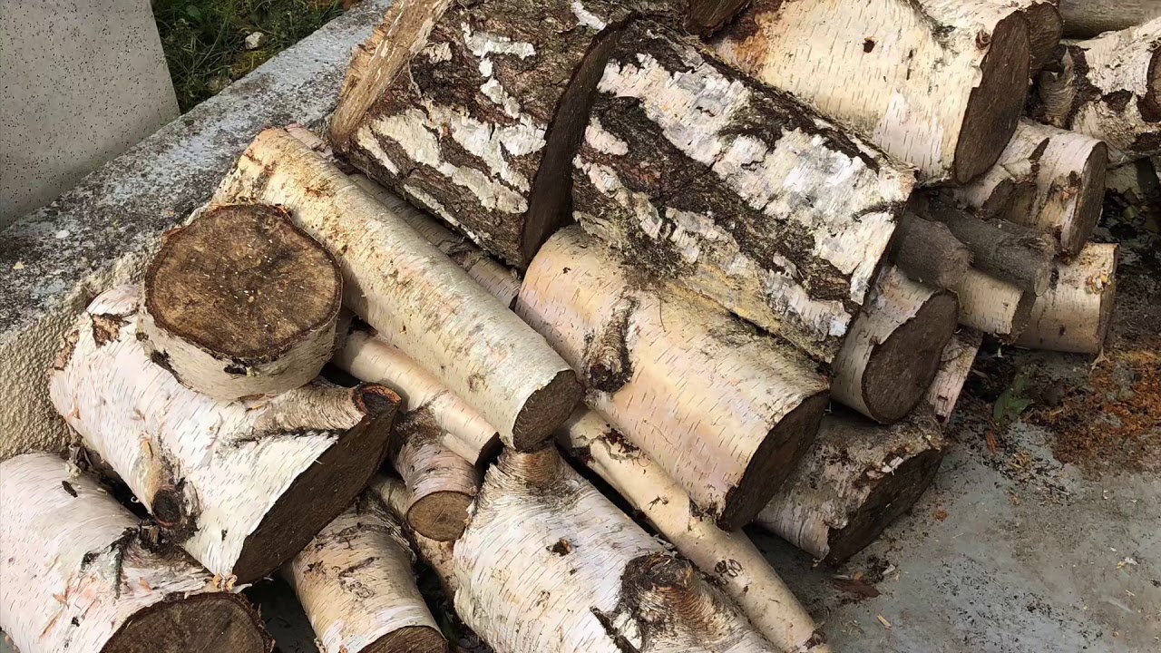 Fabrication d’un nichoir pour mésanges charbonnières