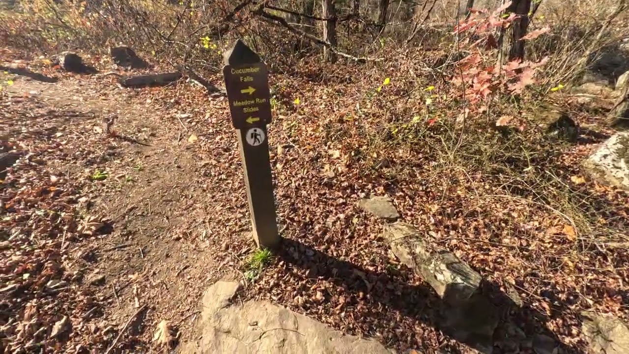 Ohiopyle 6 Nov 2025 Meadow Run End to Yough River