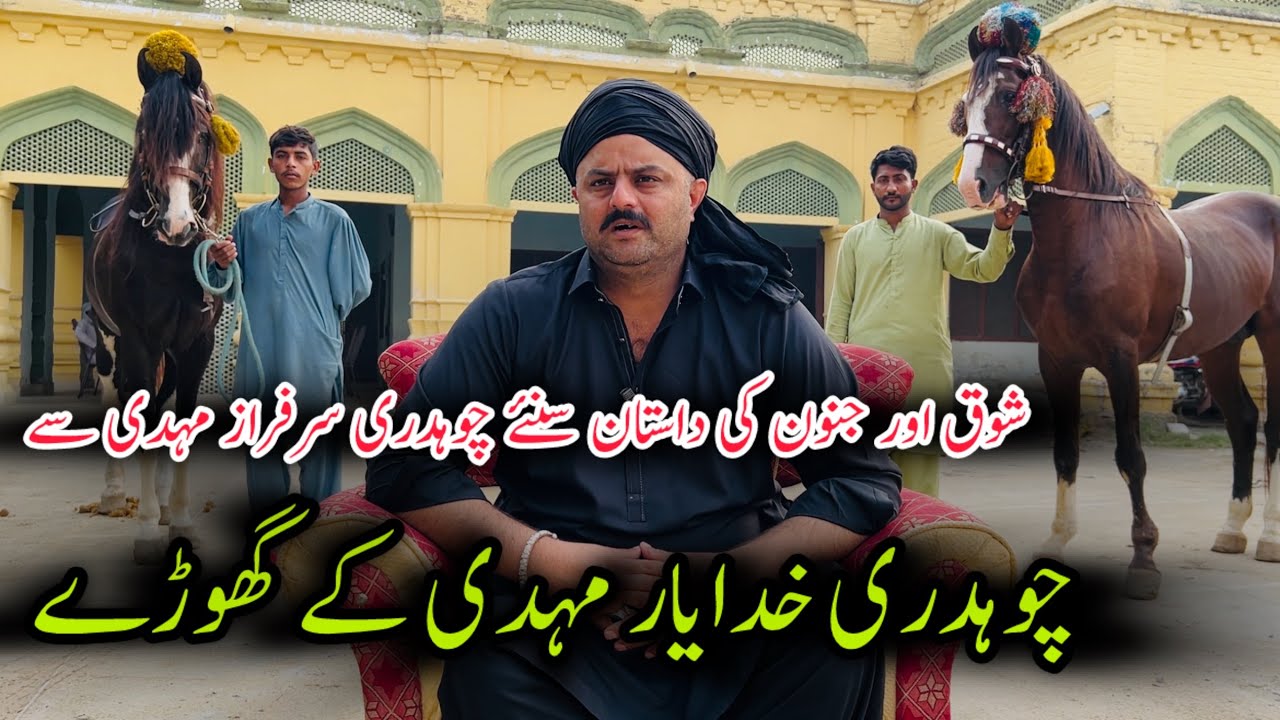 Khuda Yar Mahdi ky Ghory || Very Beautiful Desi Horses in Mandi Bahaudding #horse