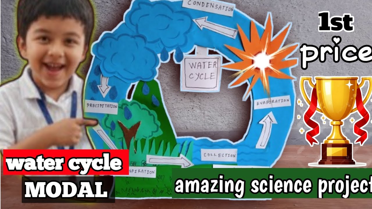 Haw to Make water cycle project/water cycle project kaise banaye/water cycle project simple 