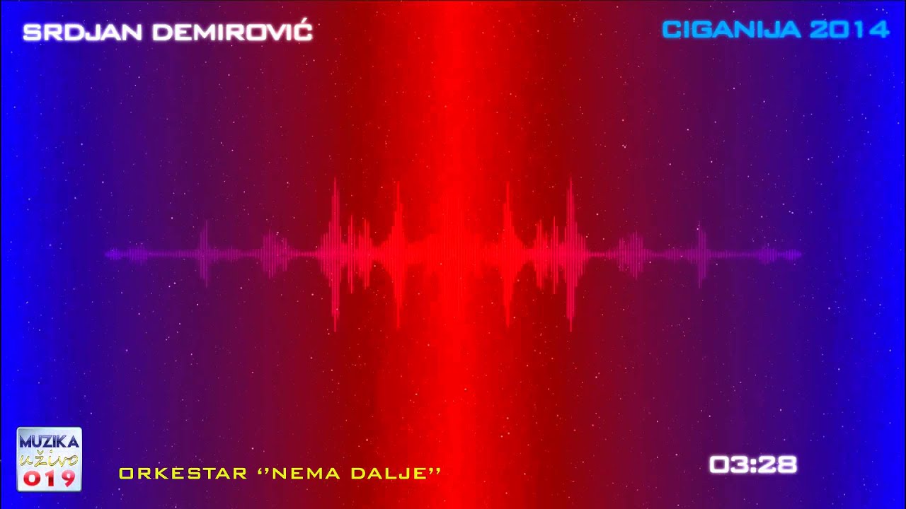 Srdjan Demirovic i orkestar NEMA DALJE - Ciganija 2014 // MuzikaUzivo019