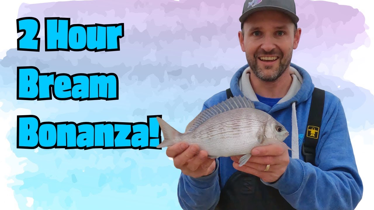2 Hour Bream Bonanza!