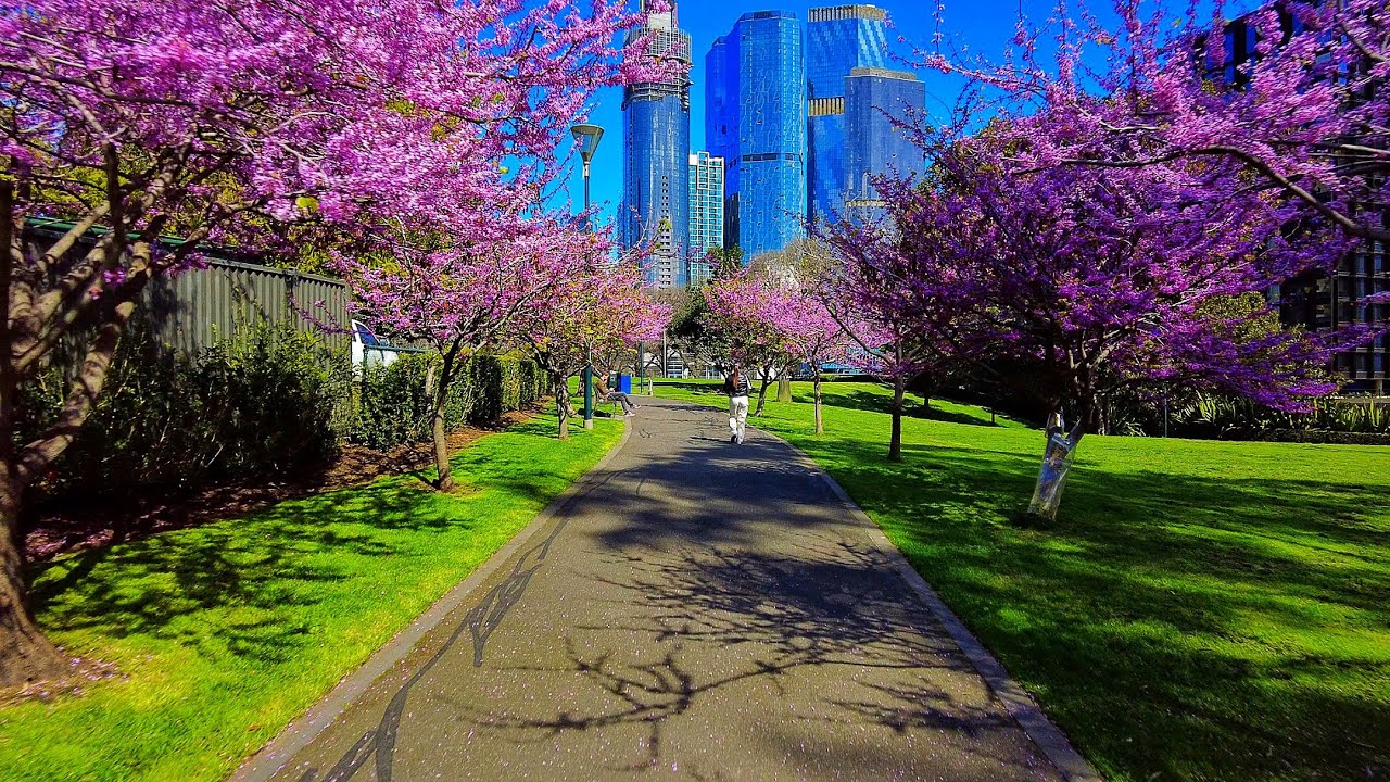 Exploring A Beautiful Park In Flagstaff Gardens | Urban Park Ambience (Melbourne, Australia)