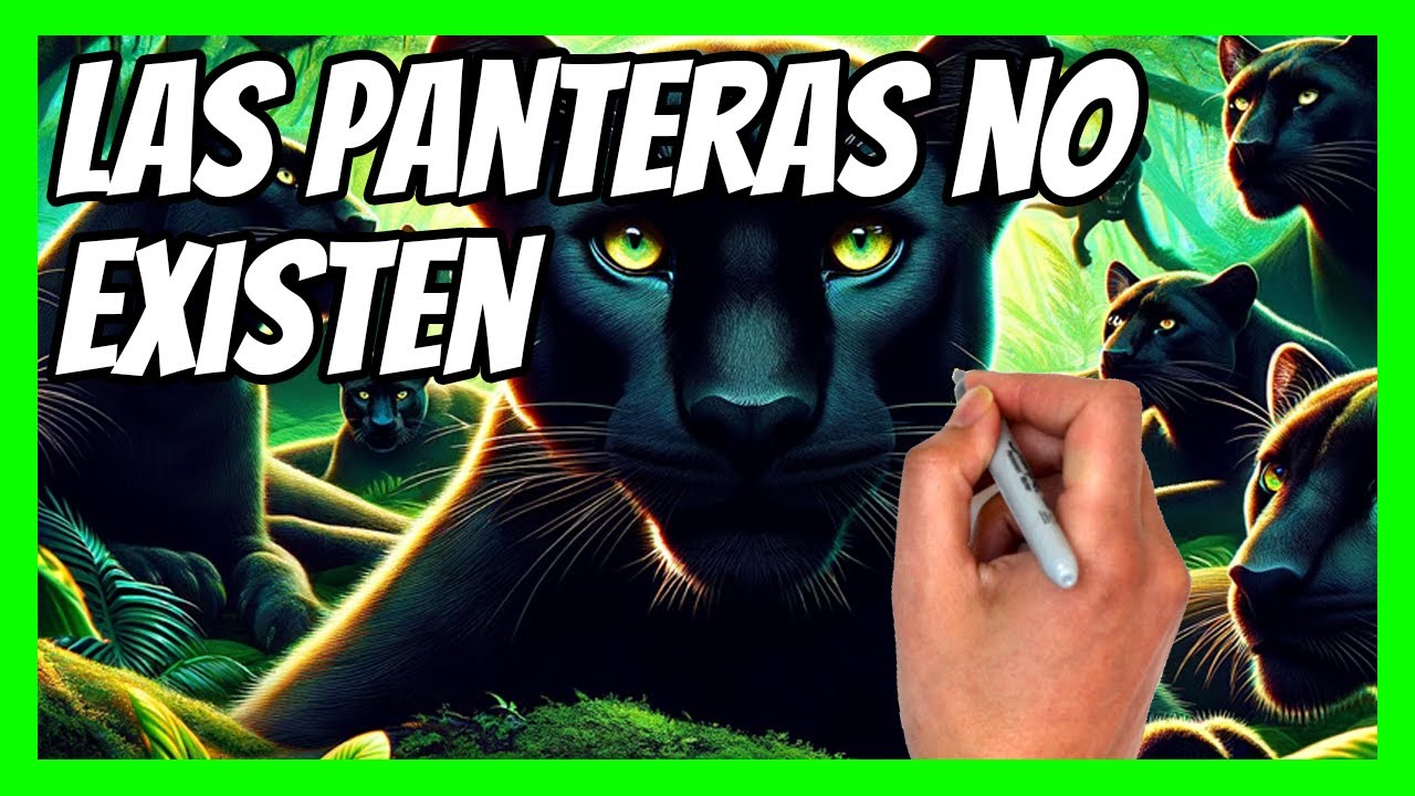 🐆El SECRETO de las PANTERAS | Curiosidades del MUNDO ANIMAL🐆