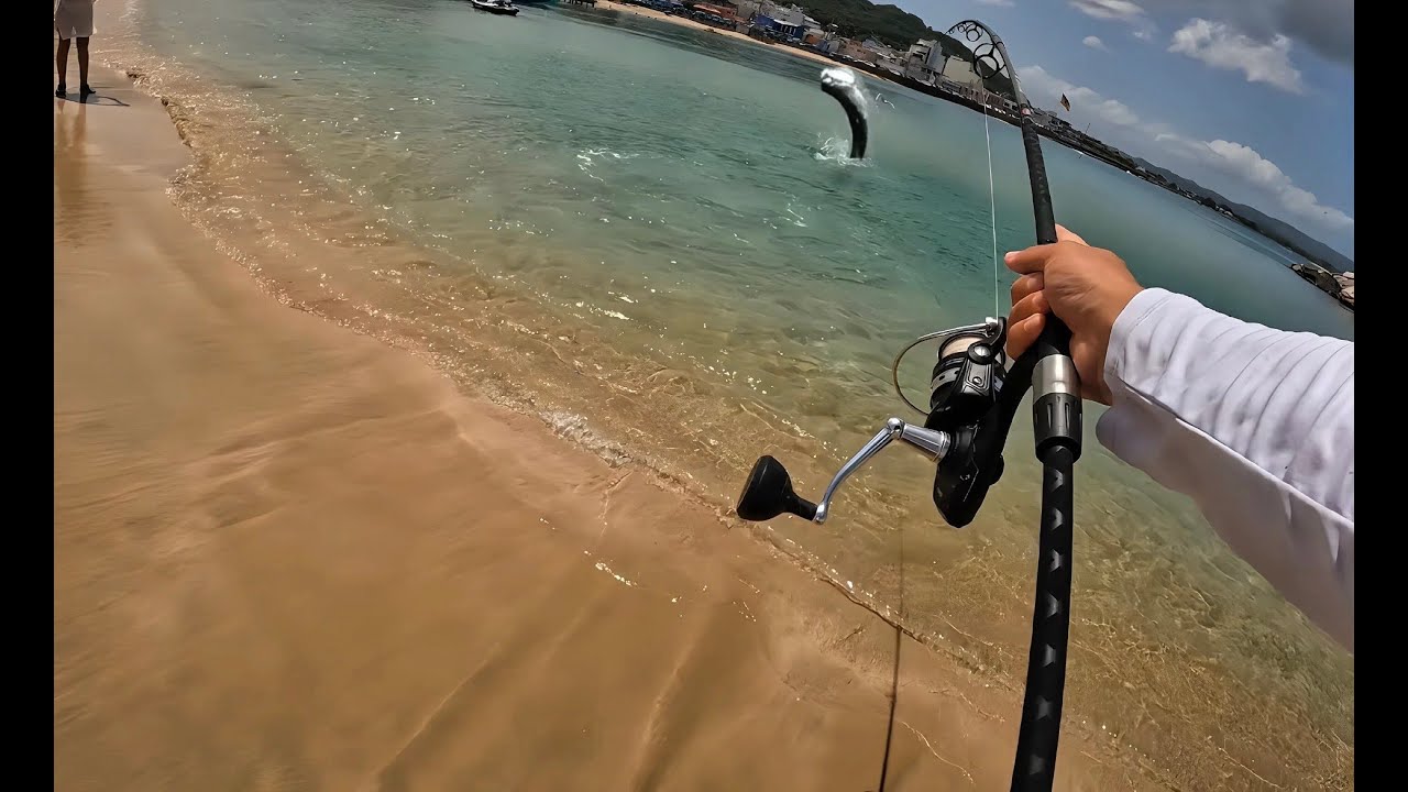Fishing INSANE beach INFESTED with BIG TARPON (HUGE FISH)