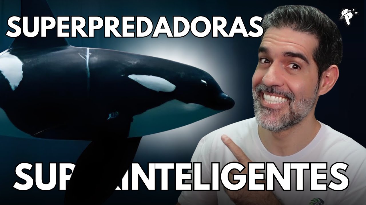 ORCAS estão PRESENTEANDO seres HUMANOS