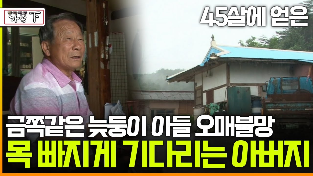 [멜로다큐 '가족' 388회 下] 45살에 얻은 금쪽같은 늦둥이 아들 오매불망 목 빠지게 기다리는 아버지