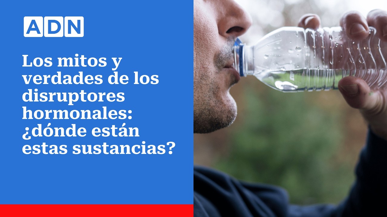 Qué son los disruptores hormonales y cómo afectan tu salud sin que lo sepas