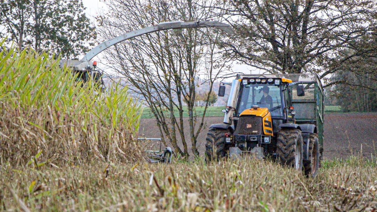 maishäckseln 2019 / claas jaguar 890 | 2× lamborghini | 1× jcb | 1× fendt | agrar videos
