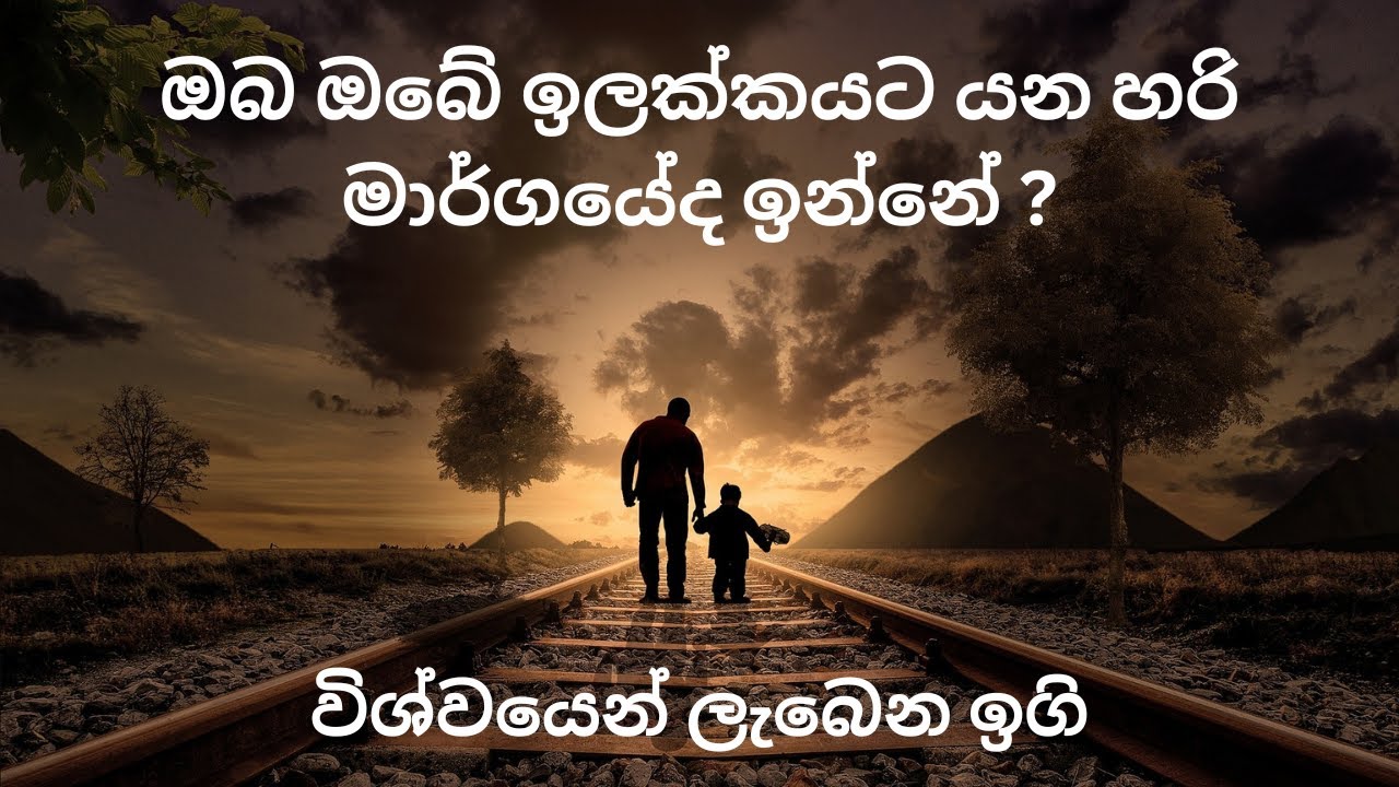 ඔබ ඔබේ ඉලක්කයට යන හරි මාර්ගයේද ඉන්නේ? විශ්වයෙන් ලැබෙන ඉගි......!