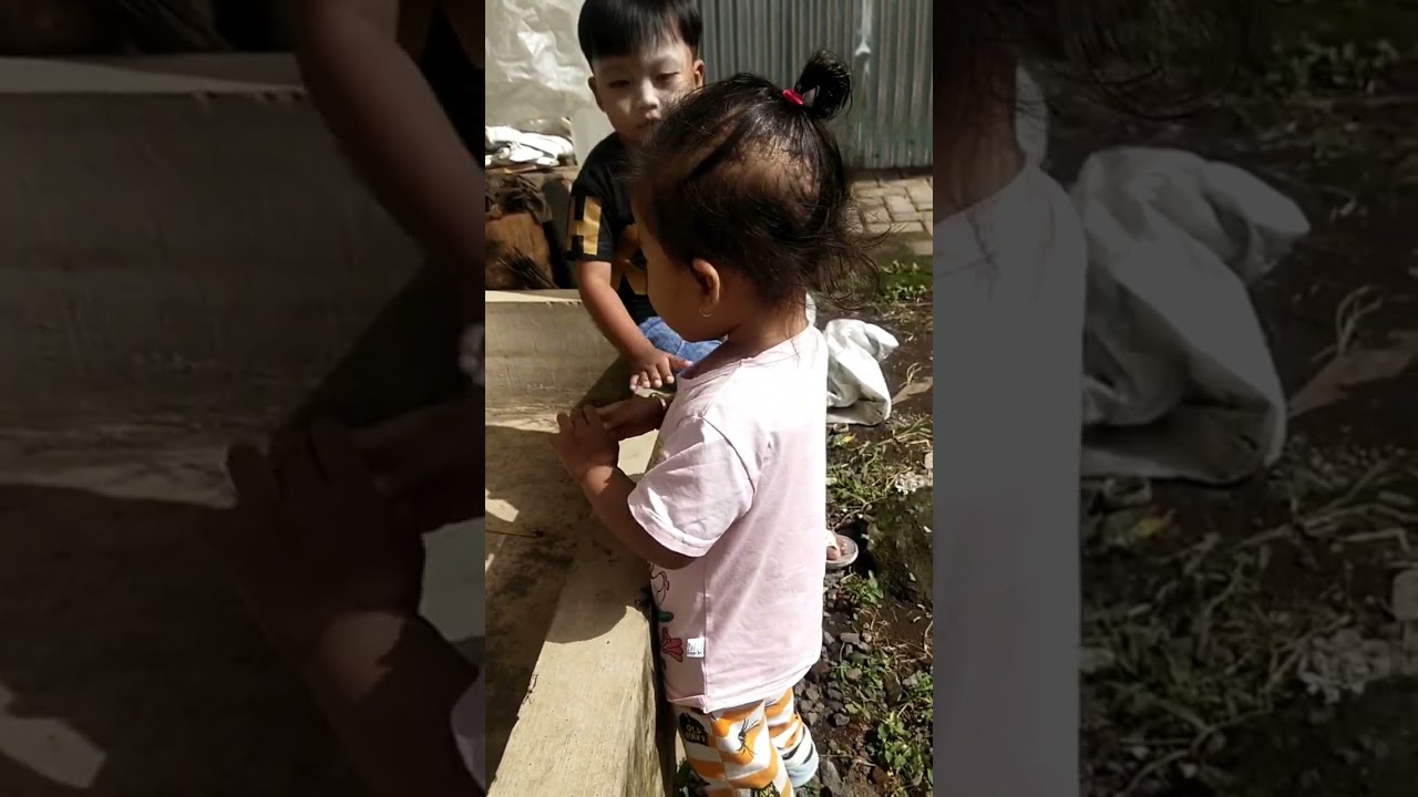 nafhifa taqi main kejar ayam
