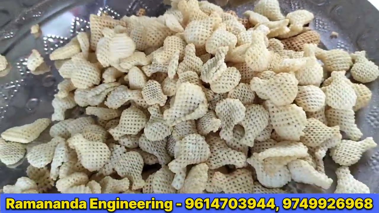 जबरदस्त Discount ✅💯 Automatic Roaster Machine से 35 तरह के Business || Best Quality Roaster Machine