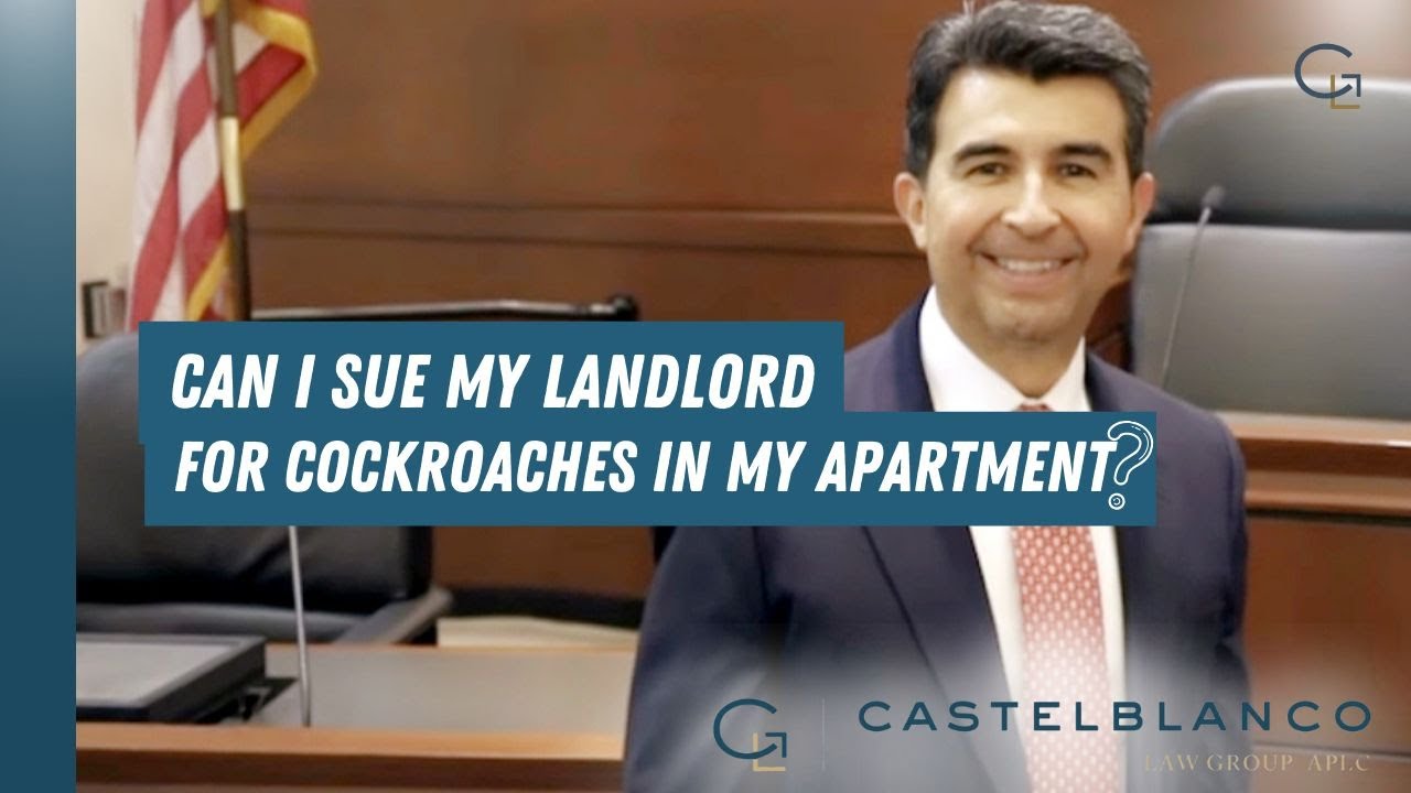 CAN I SUE MY LANDLORD FOR COCKROACHES IN MY APARTMENT?  WATCH THIS VIDE0!