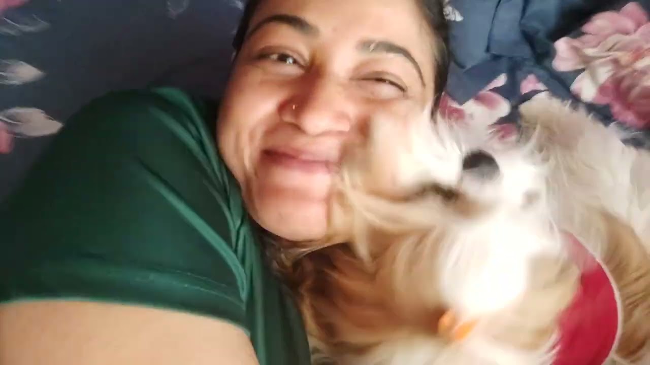 The average dog is a nicer person than the average person