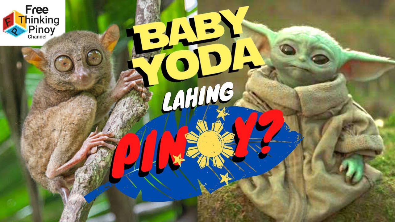 MALIIT NA UNGGOY | The Life of Philippine Tarsier