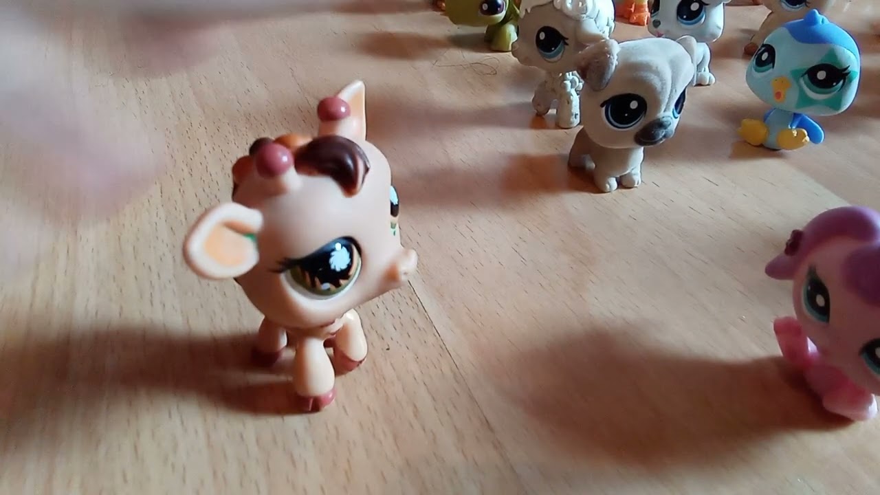 Szalona szkoła część 3 sezon 1