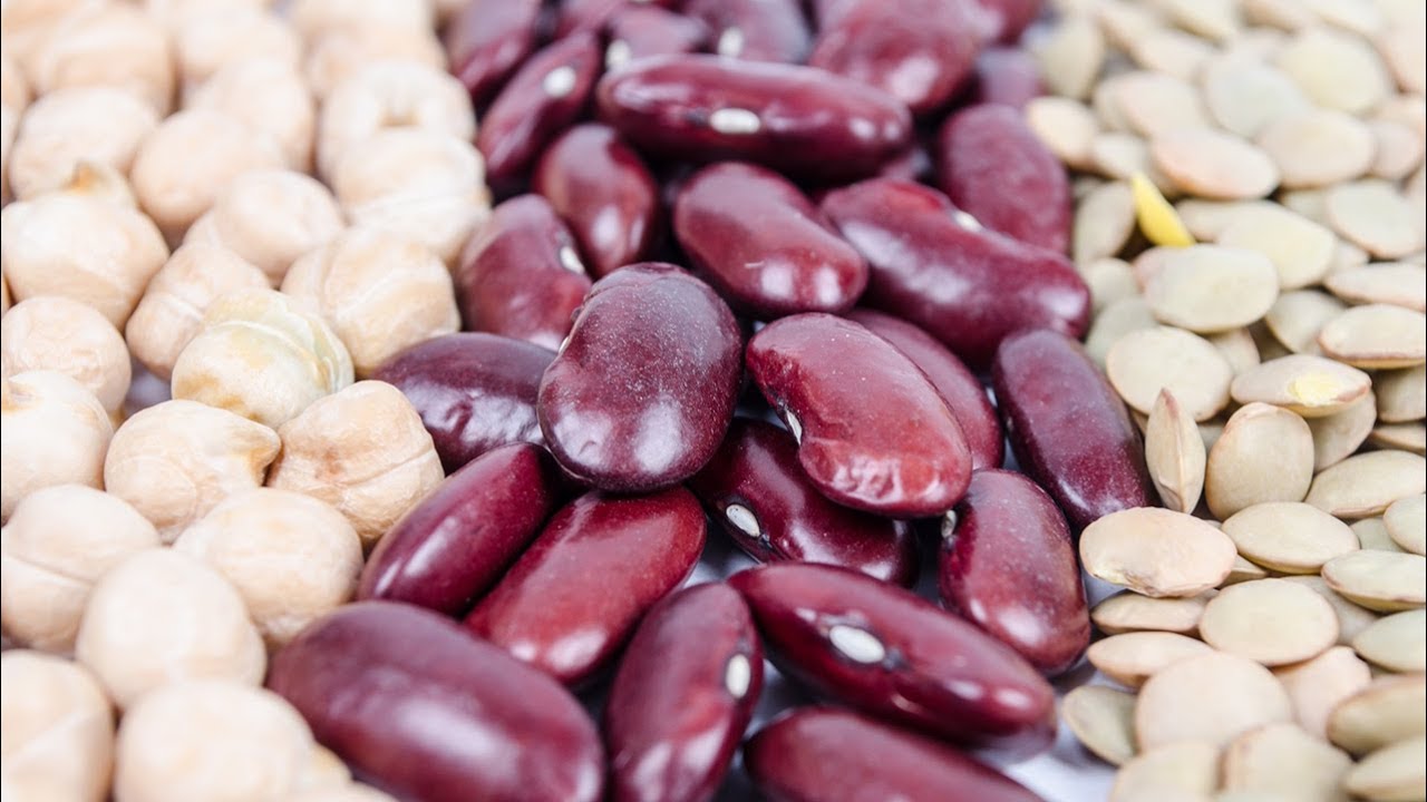 Webinar: Methods for Processing Plant Based Proteins