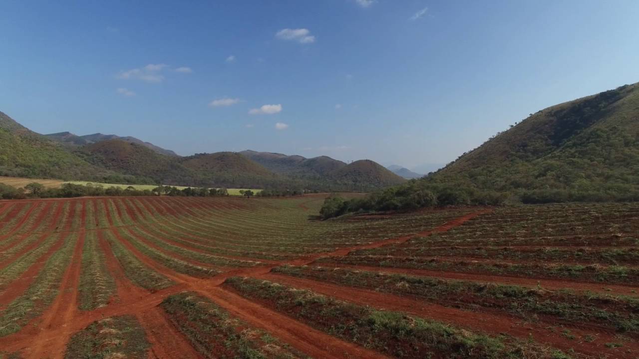 Tony's Macadamia Farm - Drone Flight
