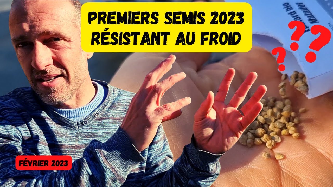 Premiers semis 2023, résistant au froid et même au gel ! #potager #janvier2023