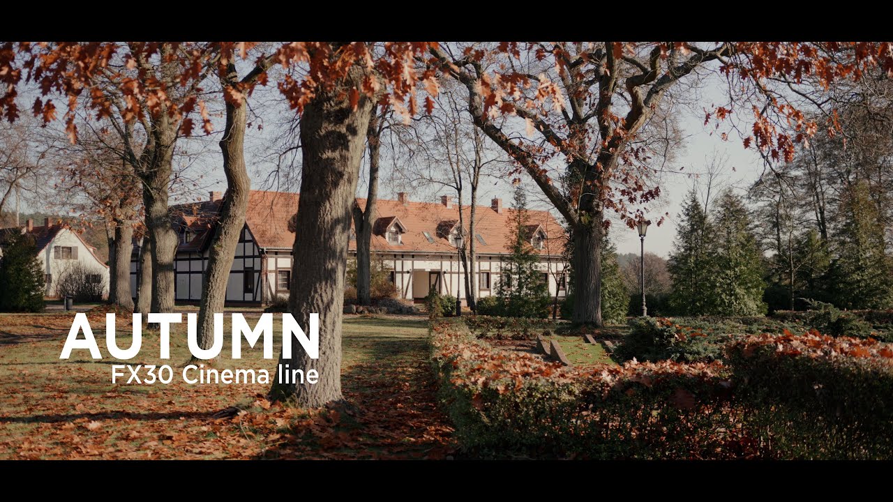 Cinematic autumn - SONY FX30 - SLOG3 - Sigma 18-35